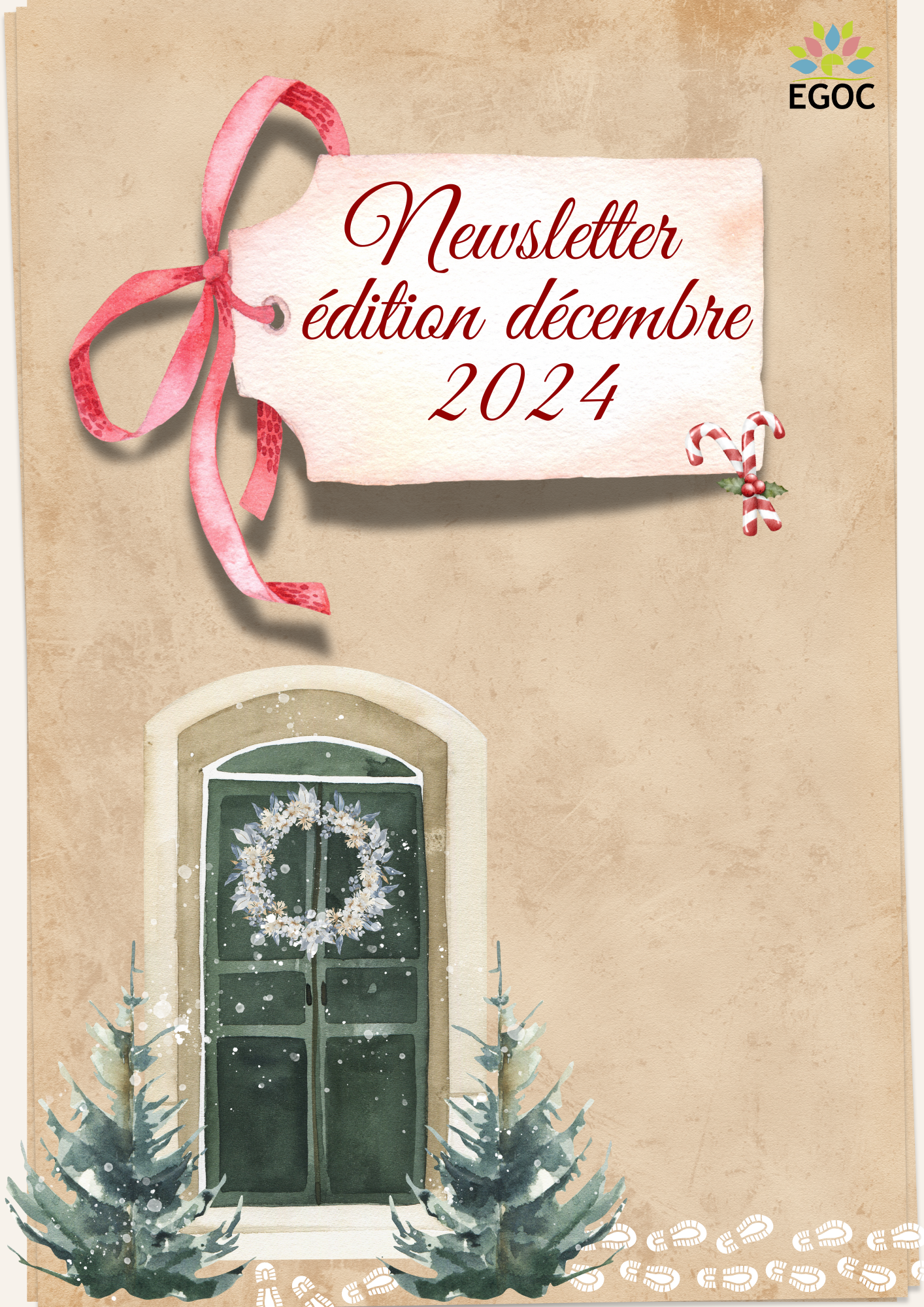 Newsletter Décembre 2024